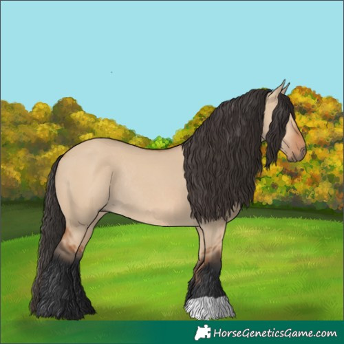 Horse Color:Bay Dun Rabicano 
