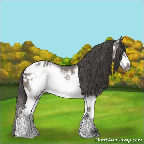 Horse Color:Grullo Sabino Splash Frame Appaloosa 