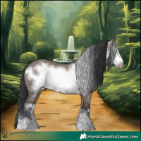 Horse Color:Grullo Frame