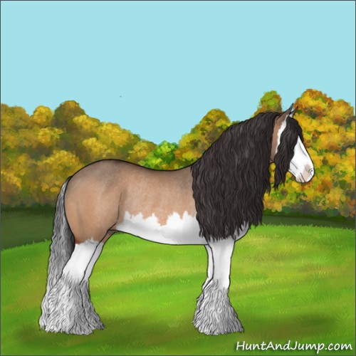 Horse Color:Bay Dun Splash Rabicano 