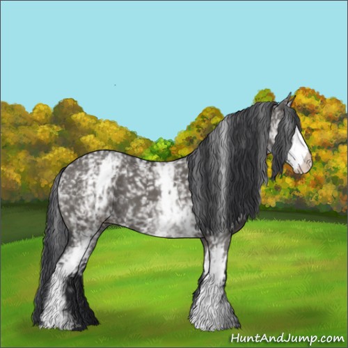 Horse Color:White Spotted Grullo 