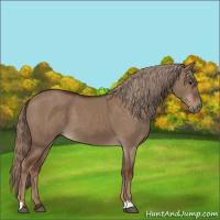 Horse Color:Liver Red Dun