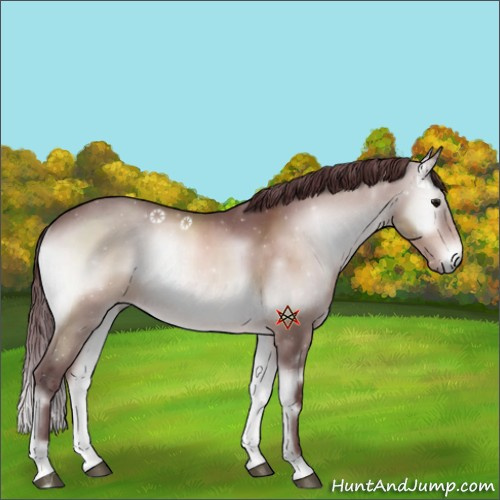 Horse Color:Platinum Chocolate Bay Onyx Sabino 