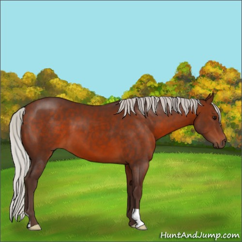 Horse Color:Silver Brown 