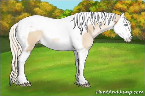 Horse Color:Palomino Pearl Splash Tobiano