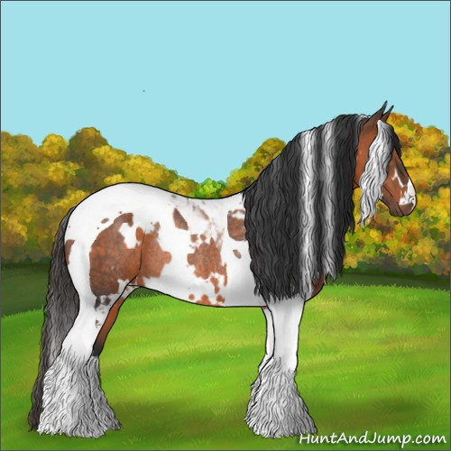Horse Color:White Spotted Brown Tobiano Rabicano 