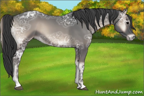Horse Color:Blue Onyx Ice 