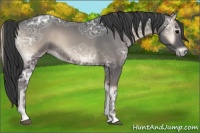 Horse Color:Blue Onyx Ice 