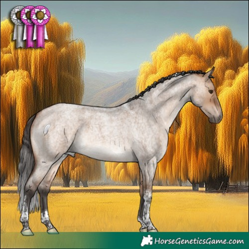 Horse Color:Bay Roan Dun Tobiano 