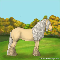Horse Color:Palomino 