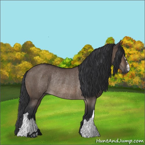 Horse Color:Brown Dun Rabicano 