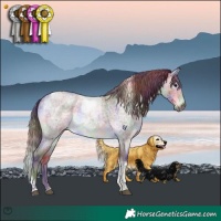 Horse Color:Platinum Nacre Chocolate Buckskin Roan Dun Tobiano Brindle
