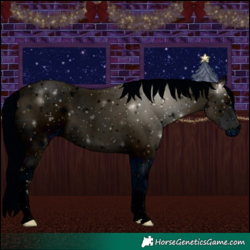 Horse Color:ERROR: UNKNOWN ANOMALY