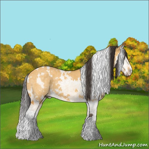 Horse Color:White Spotted Buckskin Dun Splash 