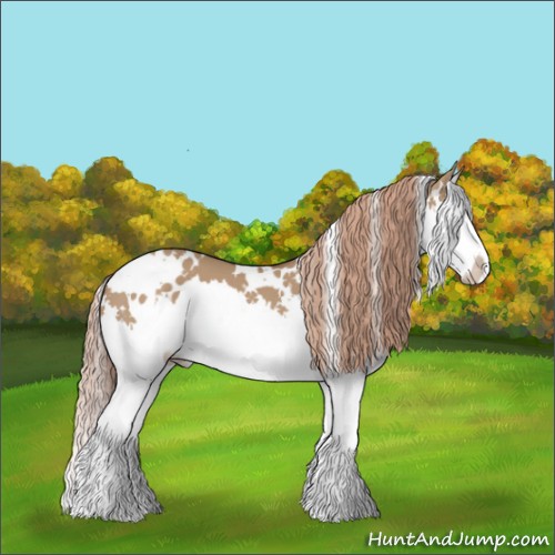 Horse Color:White Spotted Red Dun Splash 