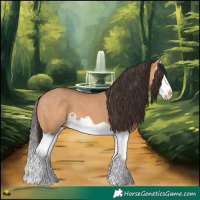 Horse Color:Bay Dun Splash 