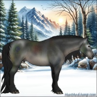 Horse Color:Gray Blue Roan