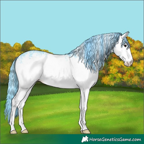 Horse Color:Watercolor White Spotted Black Ice Sabino Rabicano 