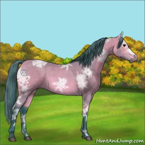 Horse Color:Watercolor Bay Ice 