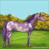 Horse Color:Watercolor Buckskin Ice 