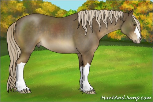 Horse Color:Chocolate Palomino Roan 