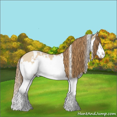Horse Color:White Spotted Red Dun Splash Rabicano 