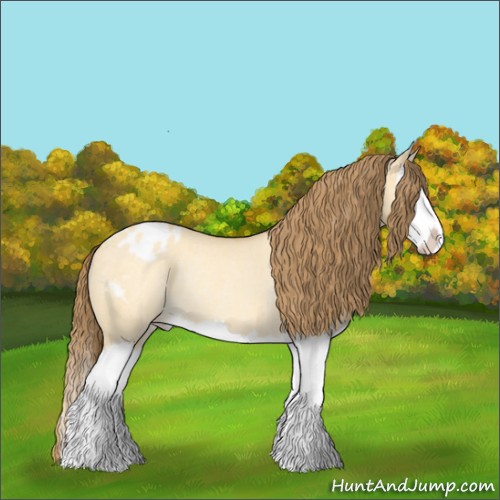 Horse Color:Amber Cream Champagne Dun Splash Appaloosa Rabicano 