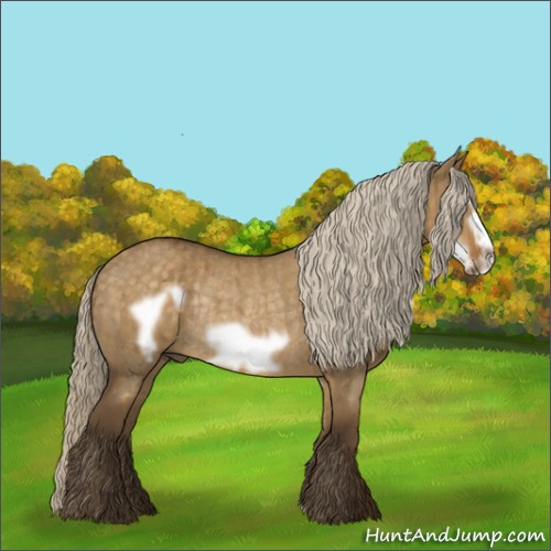 Horse Color:Chocolate Palomino Dun Frame Rabicano Brindle 