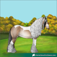 Horse Color:Gray Amber Champagne Tobiano Rabicano