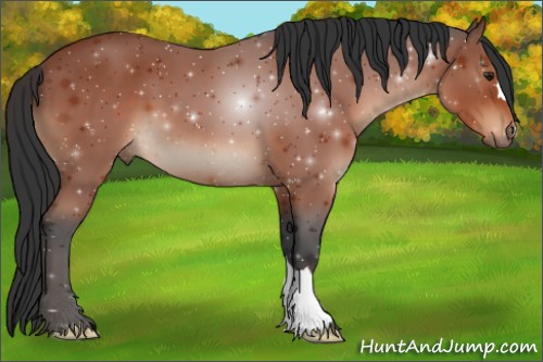 Horse Color:Brown 