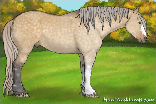 Horse Color:Silver Buckskin Dun 