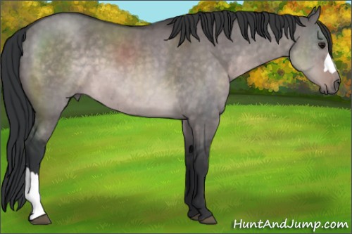 Horse Color:Platinum Brown Dun 
