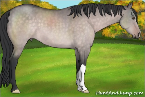 Horse Color:Platinum Brown Dun 
