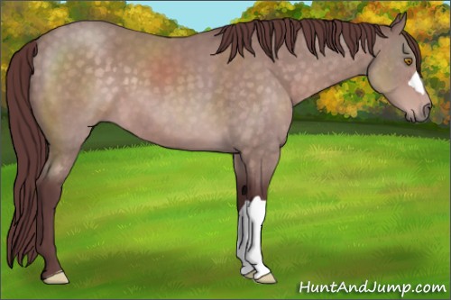 Horse Color:Platinum Chocolate Buckskin 