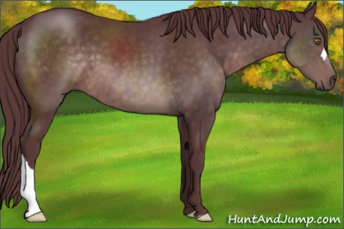 Horse Color:Platinum Chocolate Brown 