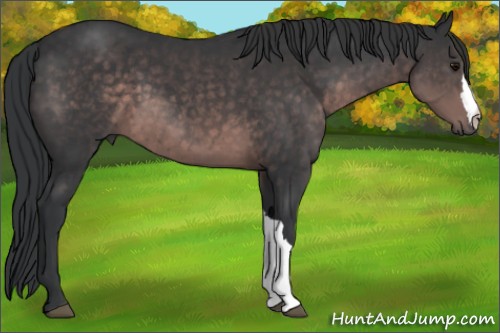 Horse Color:Platinum Brown 