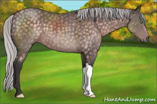 Horse Color:Platinum Silver Buckskin 
