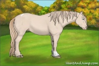 Horse Color:Perlino Sabino Tobiano 