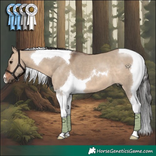 Horse Color:Brown Dun Tobiano 