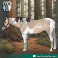Horse Color:Brown Dun Tobiano 