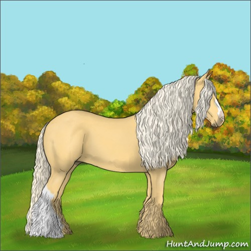 Horse Color:Palomino 