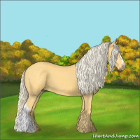 Horse Color:Palomino 
