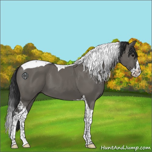 Horse Color:Grullo Splash Tobiano 