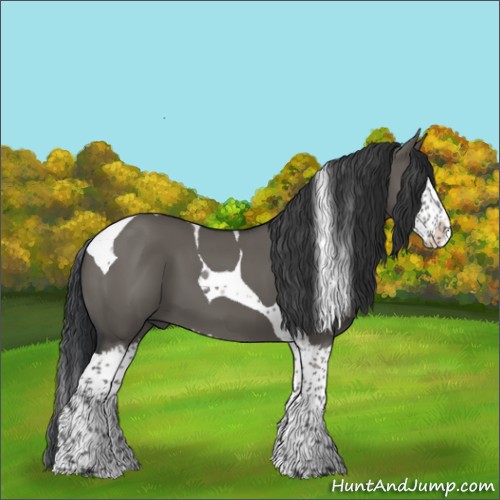 Horse Color:Grullo Splash Tobiano 