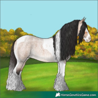 Horse Color:Bay Roan Dun Splash Tobiano 