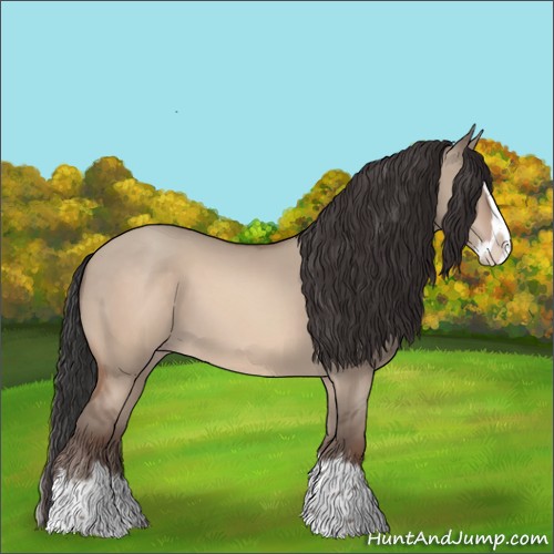 Horse Color:Sable Champagne Dun Sabino Splash 