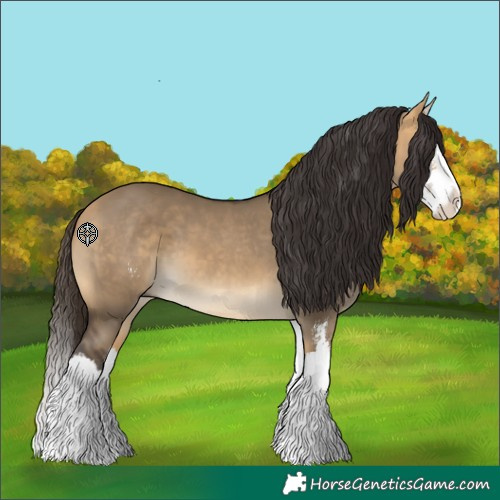 Horse Color:Buckskin Dun Sabino Splash 