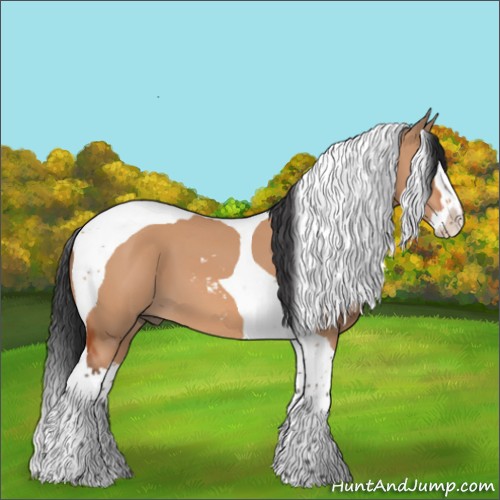 Horse Color:Bay Dun Sabino Splash Tobiano 