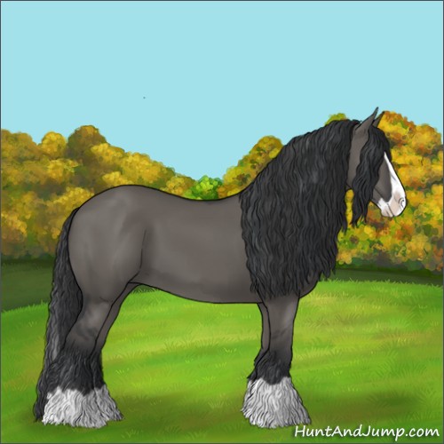 Horse Color:Grullo Splash 