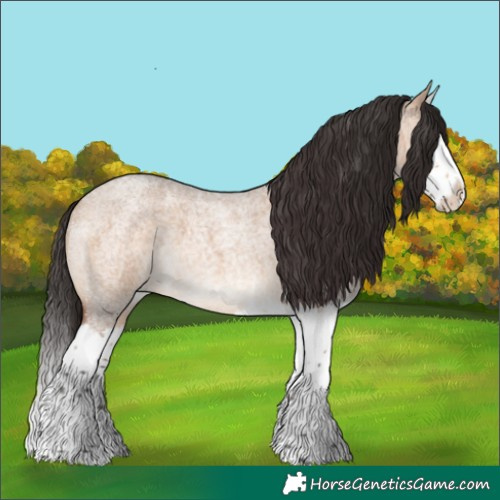 Horse Color:Bay Roan Dun Sabino Splash 
